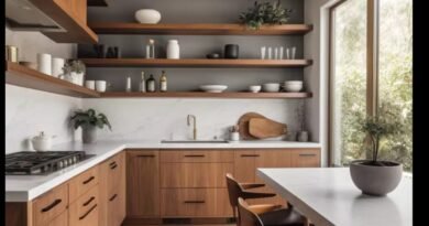 Century Modern Kitchen